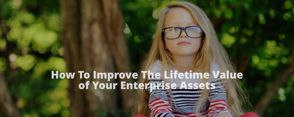How To Improve The Lifetime Value Of Your Enterprise Assets