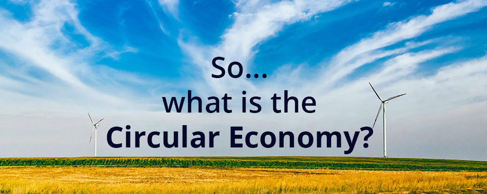 So, What in the World is the Circular Economy?