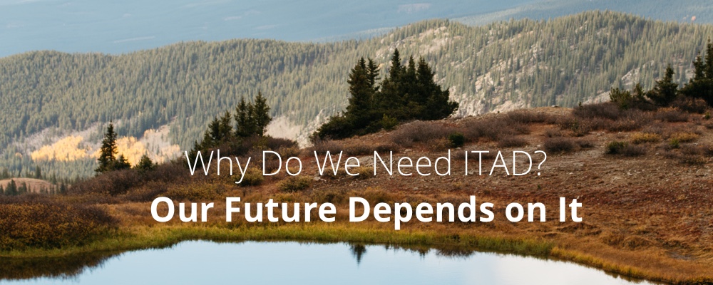Why Do We Need ITAD? Our Future Depends on It